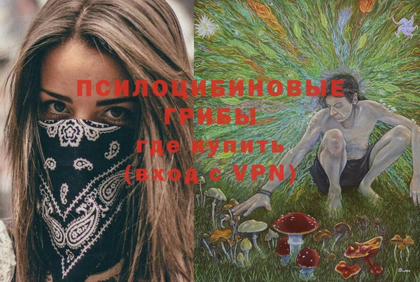 круглые Новозыбков