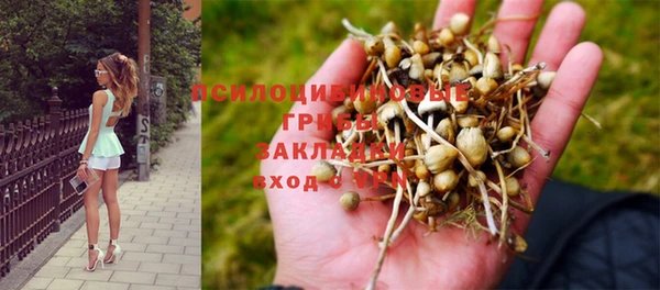 скорость Новодвинск
