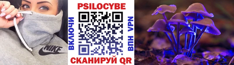 Галлюциногенные грибы Cubensis  MEGA как войти  Черкесск 