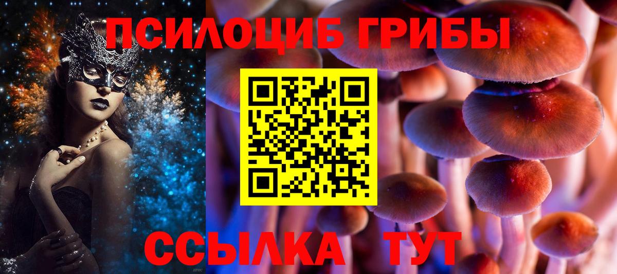 Псилоцибиновые грибы Magic Shrooms  Вход с VPN  Черкесск 