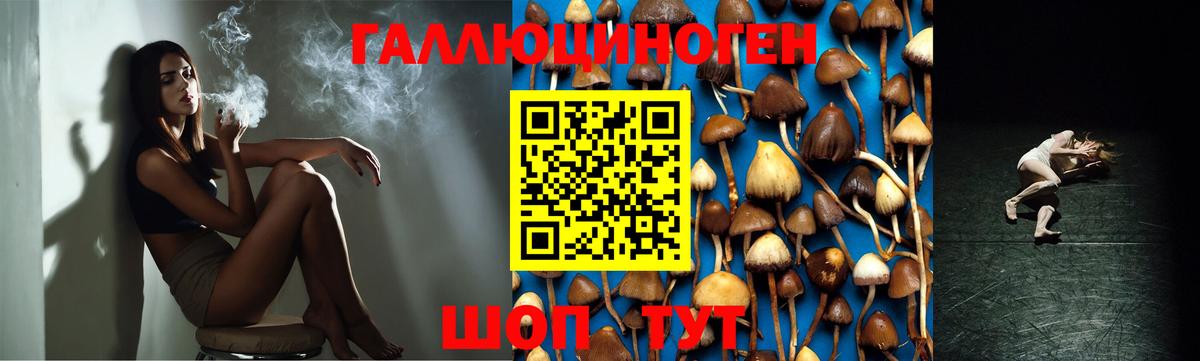 Галлюциногенные грибы Magic Shrooms  цена   Галлюциногенные грибы ЛСД  Черкесск 