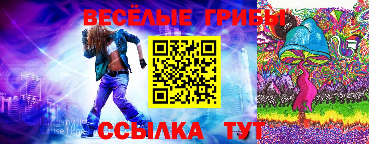 Галлюциногенные грибы мухоморы Черкесск